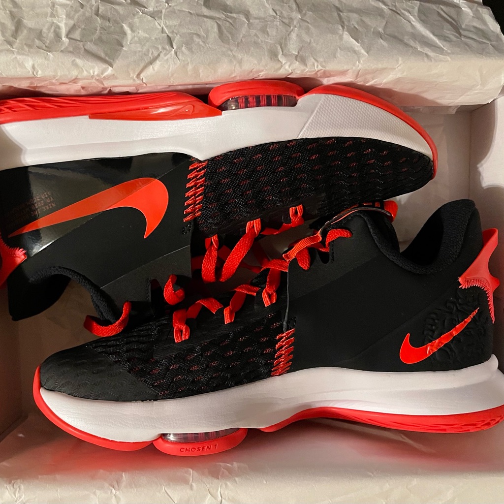 Nike Lebron